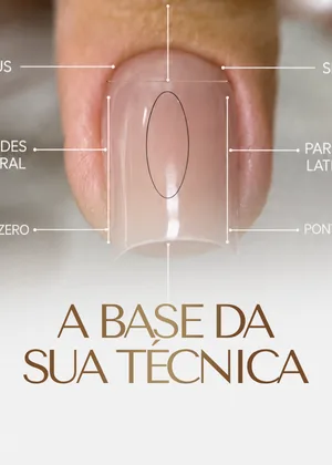 Módulo: a base da sua técnica