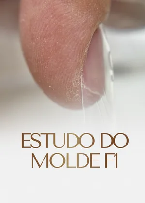 Módulo: estudo do Molde F1